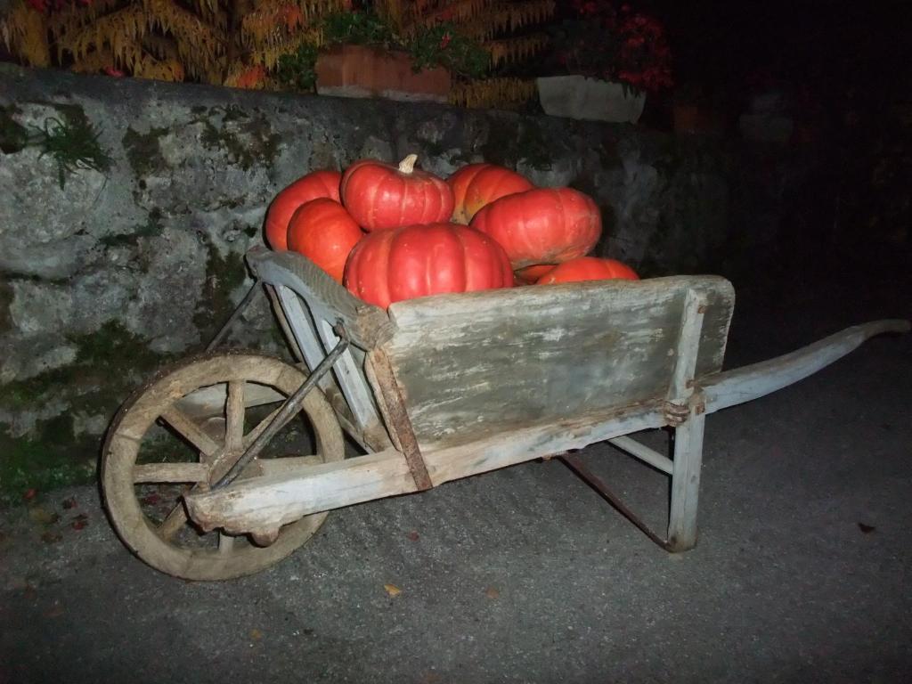 Domaine Du Grand Cellier - Insolite En Savoie *